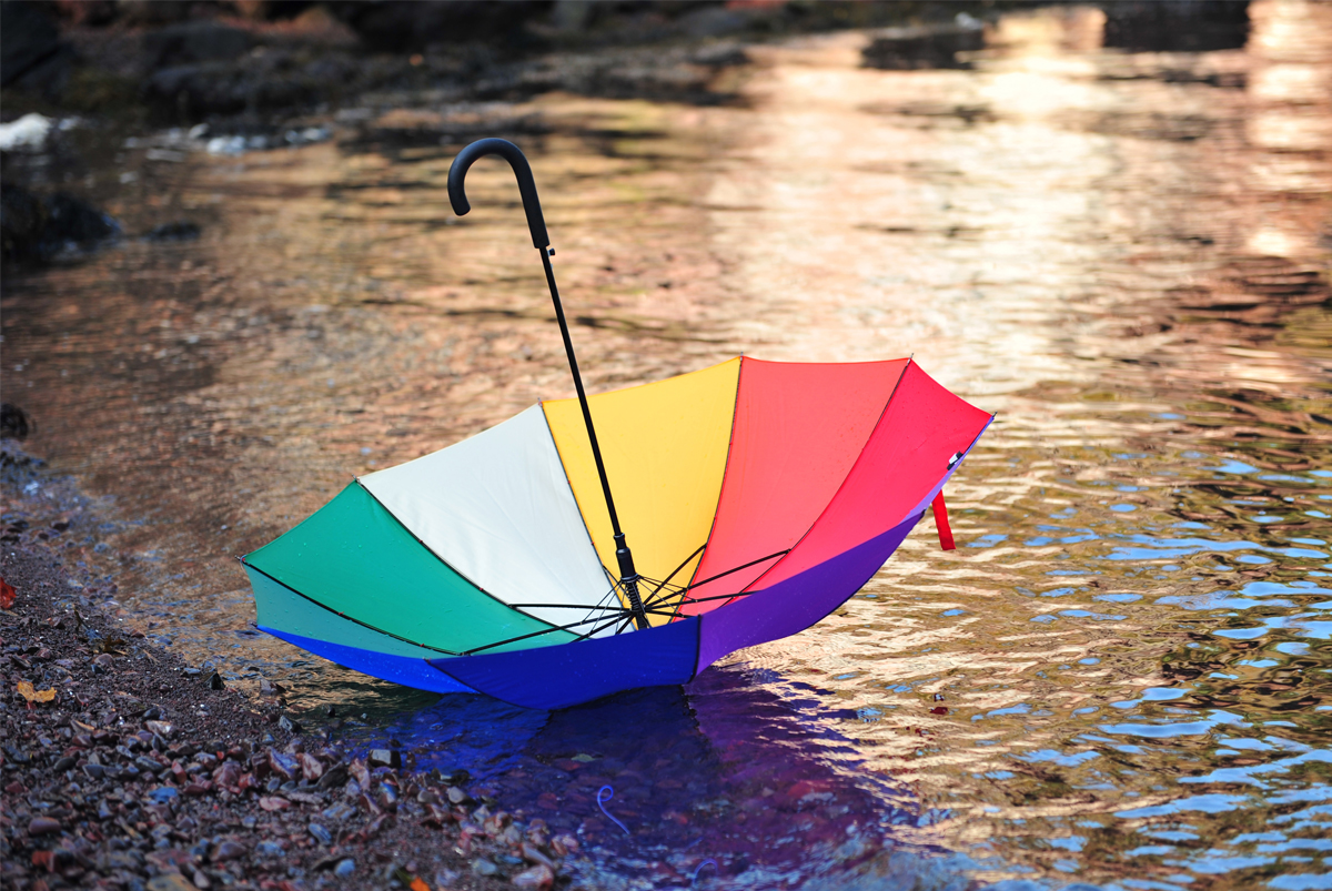 An open rainbow umbrella lying upside down in shallow water by a pebbly shore
